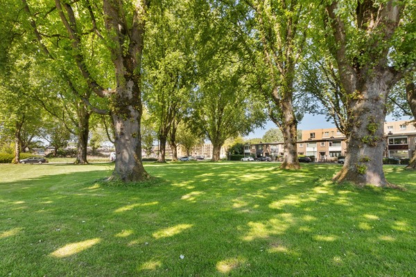 Medium property photo - Van Limburg Stirumplantsoen 14, 3317 GP Dordrecht